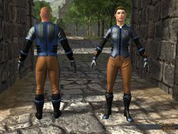 SotA Founder Chain.jpg