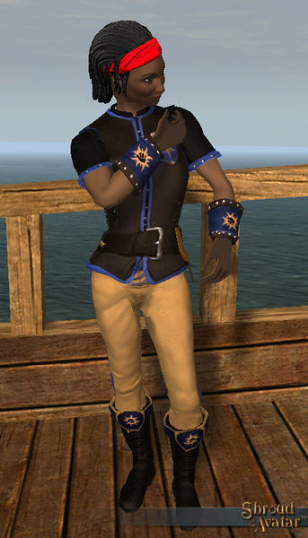 File:SotA Founder Founder DustOffEmote.jpg