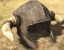 Frost Giant's Helm Icon.png