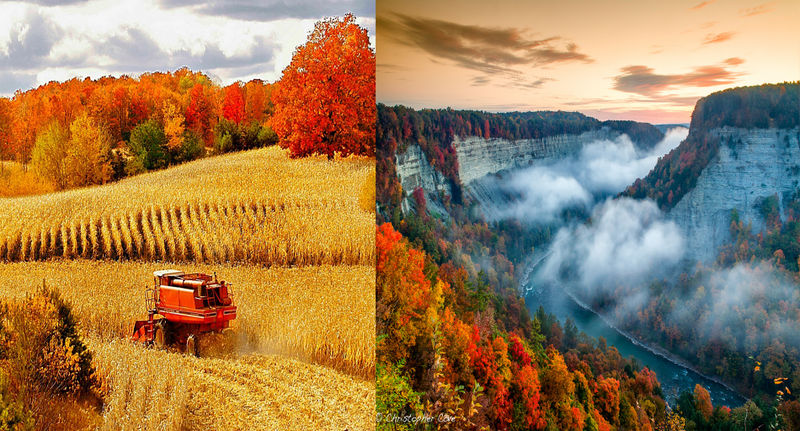 File:Harvest-Inspiration.jpg