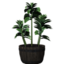 Plant01 icon.png
