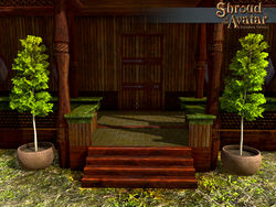 SotA Potted Common Aspen Tree.jpg