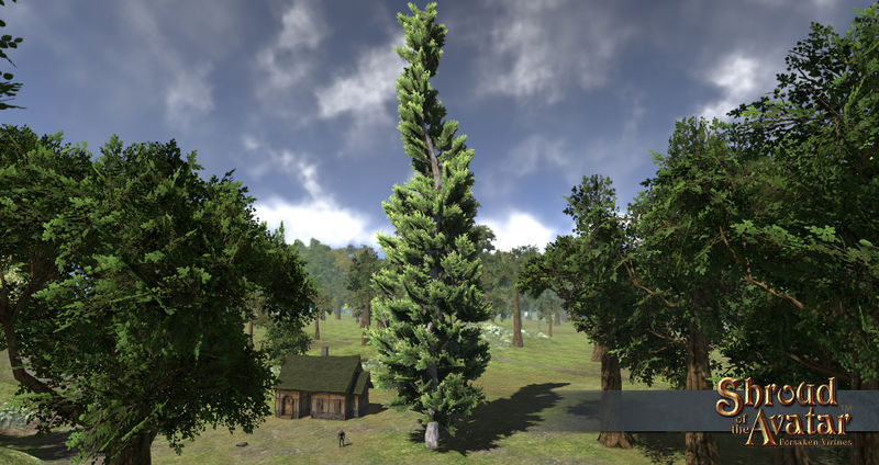 File:SotA EpicJuniperTree.jpg