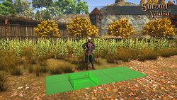 Item medium planting area.jpg