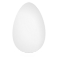 Egg icon.png