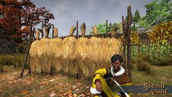 Item hay drying rack.jpg