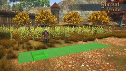 Item planting area large.jpg