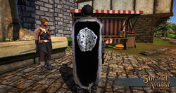 Sota crafting sigil cloak.jpg