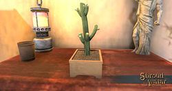SotA TabletopSaguaroBrokenBranchCactus.jpg