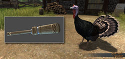 SotA TurkeyCall Turkey small.jpg