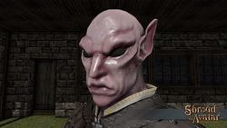 SotA Elf Mask v2.jpg