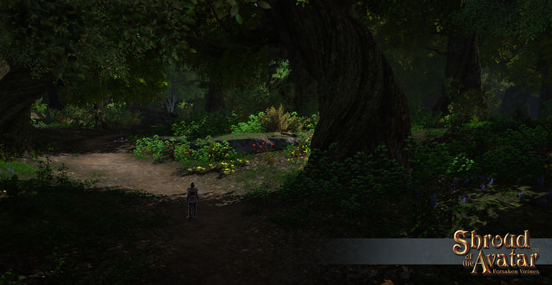 SS 09282017 NorthMidmaer D.jpg