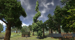 SotA EpicJuniperTopiaryTree.jpg