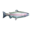 Trout