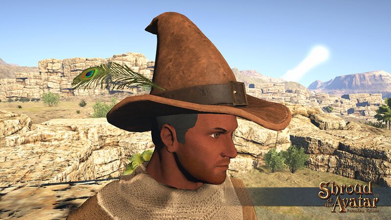 Item leather wizards hat feather.jpg