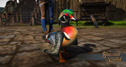 Wood duck decoration pet.jpg