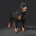 SotA FriendReferral Rottweiler Pet.jpg