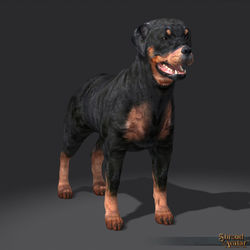 SotA FriendReferral Rottweiler Pet.jpg